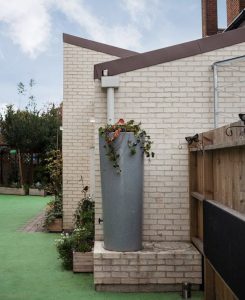 External, Garden, Nursery, Kingston